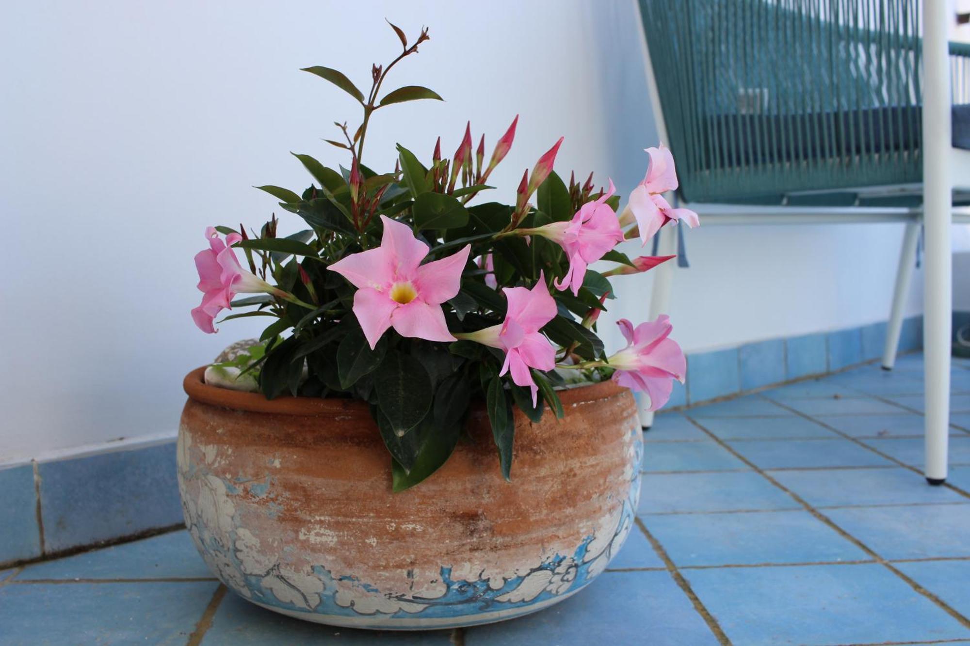 蓬扎La Mansarda Sul Porto公寓 外观 照片